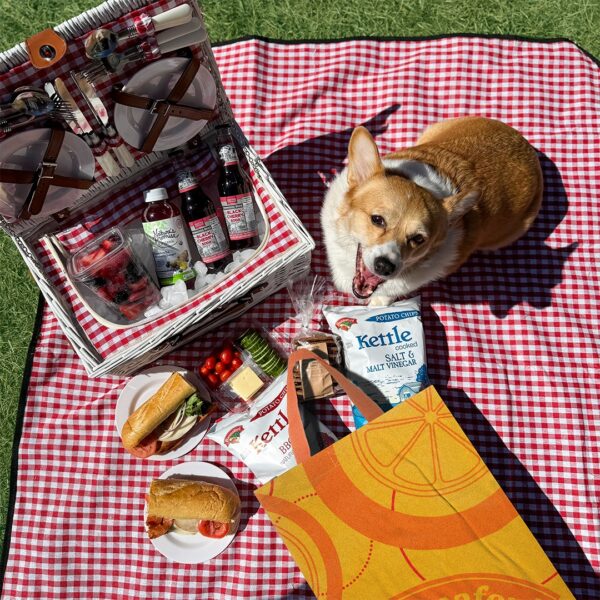 Summer Puppy Picnic